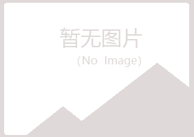 龙岩新罗千城建设有限公司